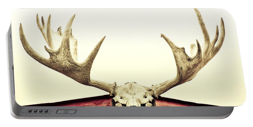 Moose Portable Battery Charger featuring the photograph Moose Trophy by Priska Wettstein
