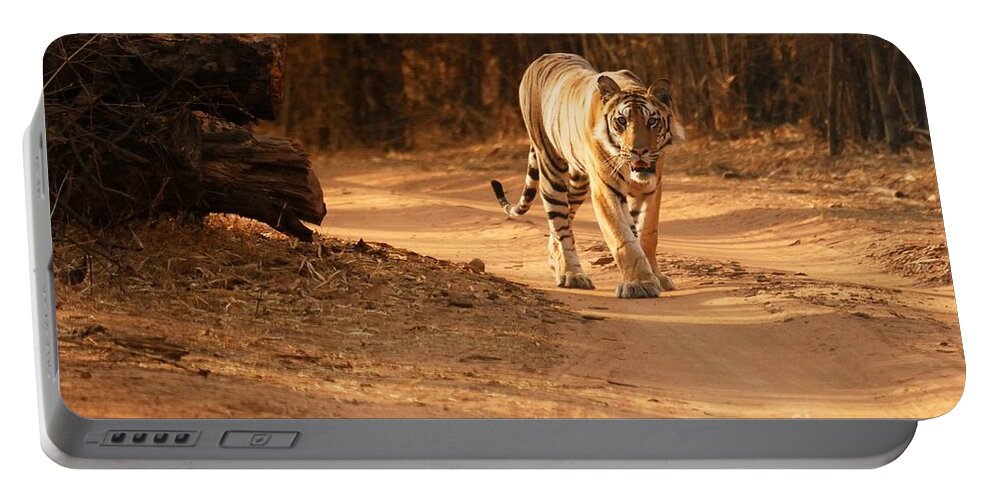 Royal Portable Battery Charger featuring the photograph Morning stroll by Fotosas Photography