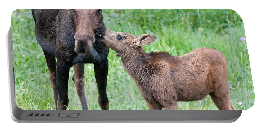 Moose Portable Battery Charger featuring the photograph Mother's Day Moose by Max Waugh