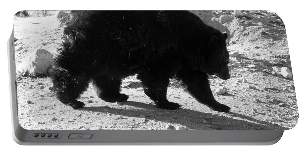 Black Portable Battery Charger featuring the photograph Mrs Black Bear by Kim Galluzzo Wozniak