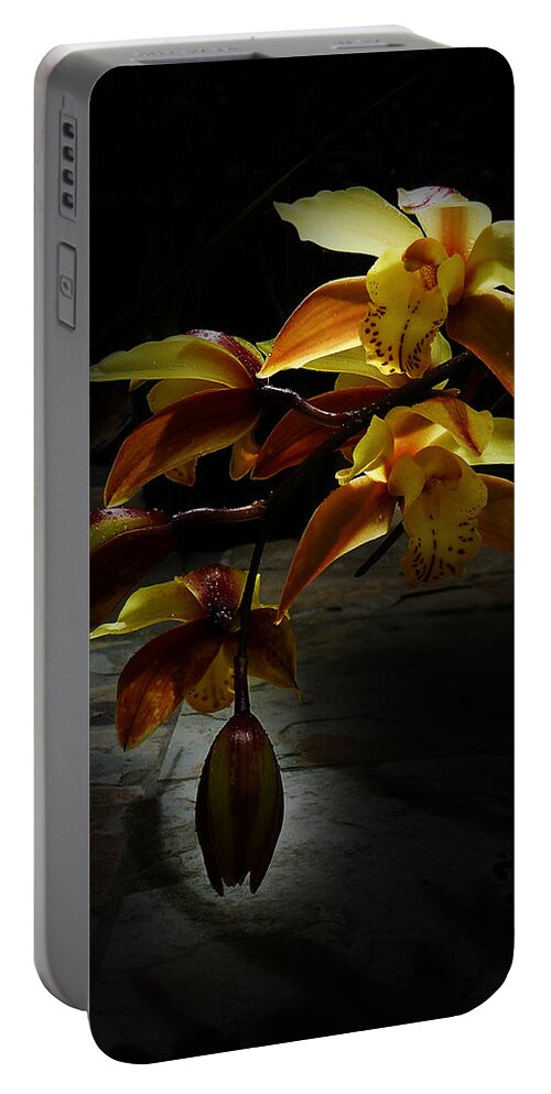 Orchid Portable Battery Charger featuring the photograph My Orchid 2 by Xueling Zou