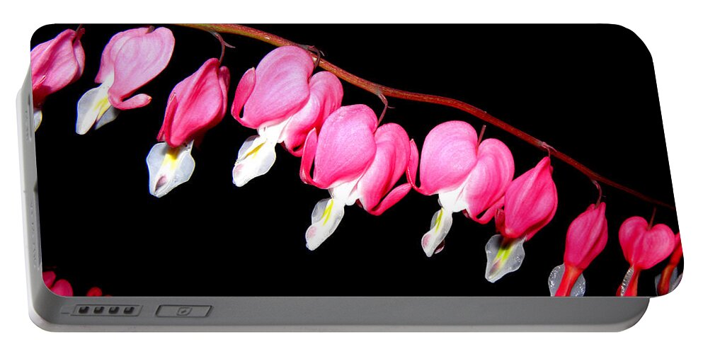 Pink Bleeding Hearts Portable Battery Charger featuring the photograph My Pink Hearts Trail by Kim Galluzzo Wozniak