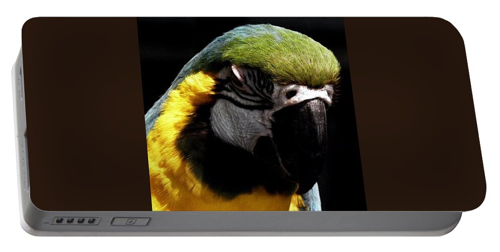 Macaw Portable Battery Charger featuring the photograph Nap Time by Kim Galluzzo Wozniak