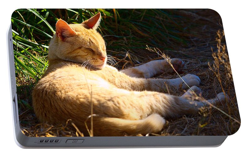 Cat Portable Battery Charger featuring the photograph Napping Orange Cat by Chriss Pagani
