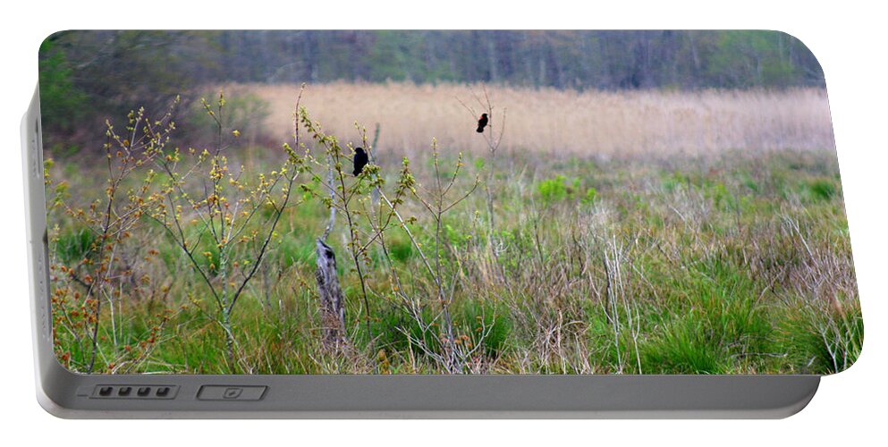 Marshland Portable Battery Charger featuring the photograph Nature On The Marsh by Kim Galluzzo