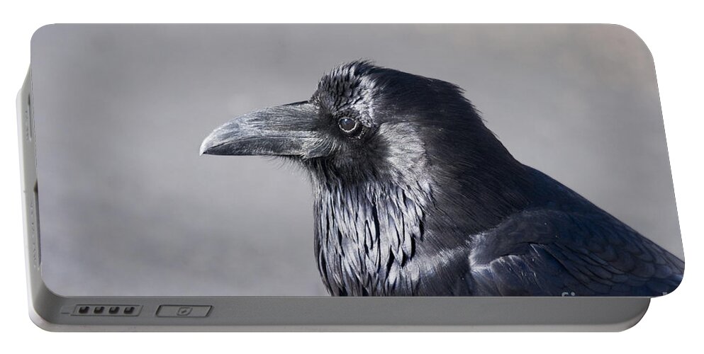 Raven Portable Battery Charger featuring the photograph Nevermore by Michael Dawson