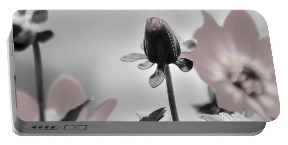 Flower Portable Battery Charger featuring the digital art New Life by Holly Ethan