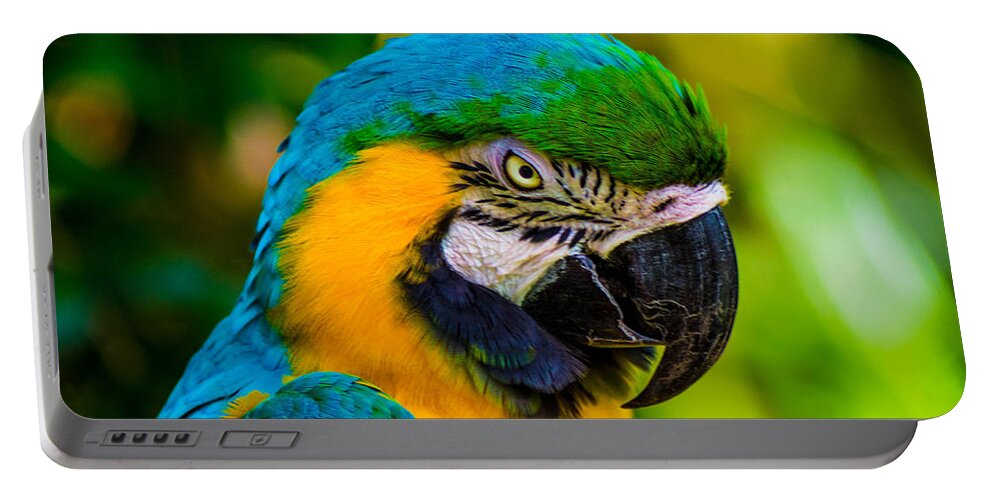 Parrots Portable Battery Charger featuring the photograph No more crakers by Shannon Harrington