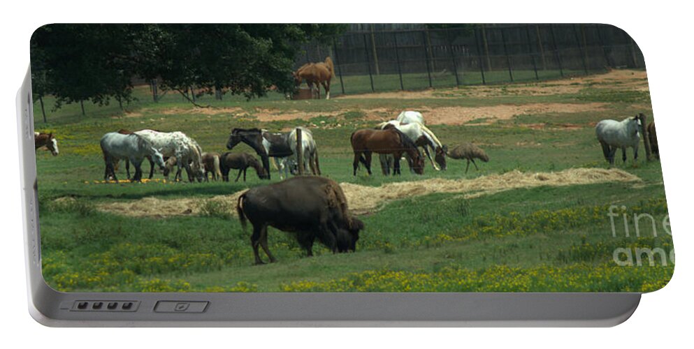 Noahs Ark Portable Battery Charger featuring the photograph Noahs Ark by Donna Brown