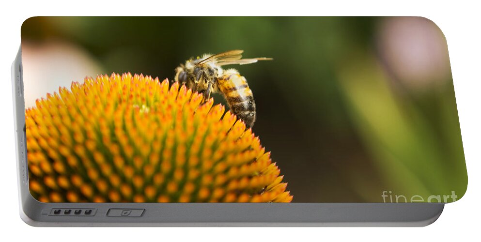 Bee Portable Battery Charger featuring the photograph On the Horizon by Heather Applegate