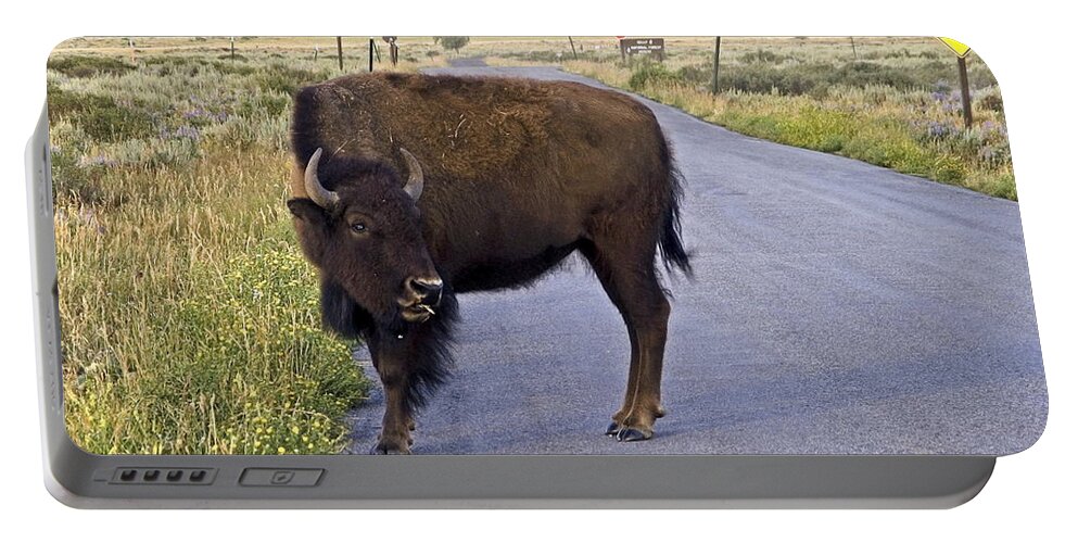 American Bison Standing In Road Portable Battery Charger featuring the photograph On the Road by Sally Weigand