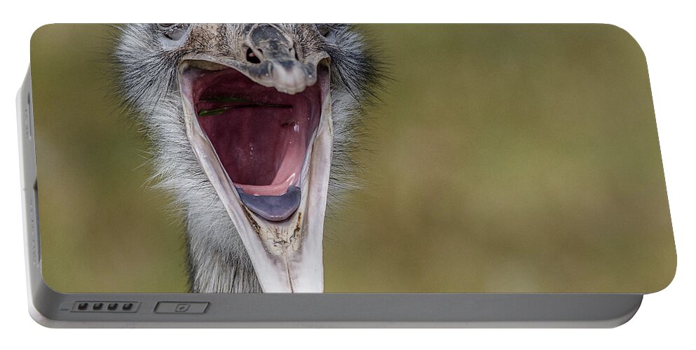 Rhea Portable Battery Charger featuring the photograph Open Wide by Greg Nyquist