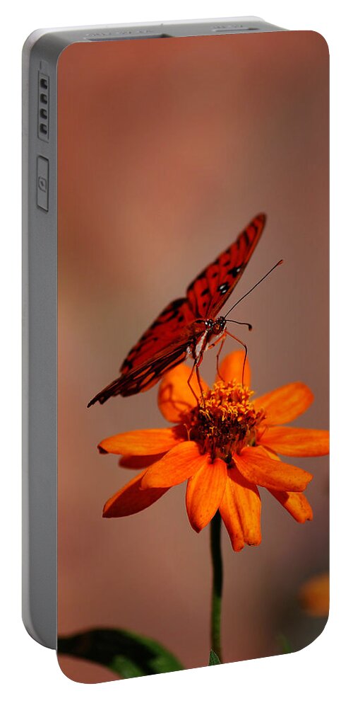 Butterfly Portable Battery Charger featuring the photograph Orange Butterfly Orange Flower by Lori Tambakis