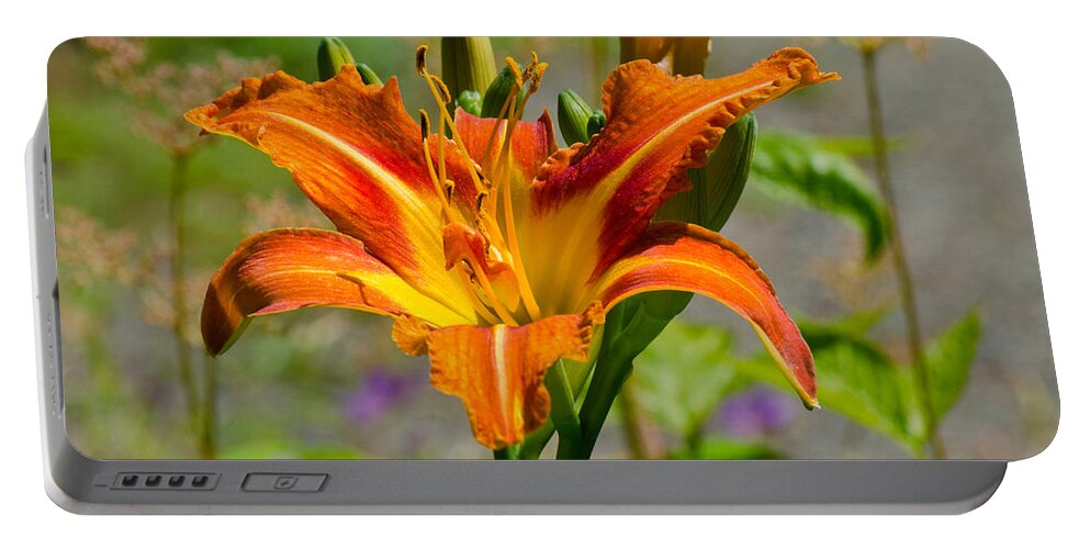 Red Portable Battery Charger featuring the photograph Orange Day Lily by Tikvah's Hope