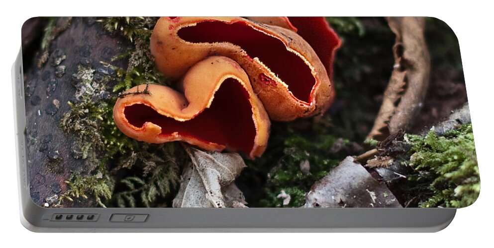 Fungi Portable Battery Charger featuring the photograph Orange Delight by Barbara McMahon