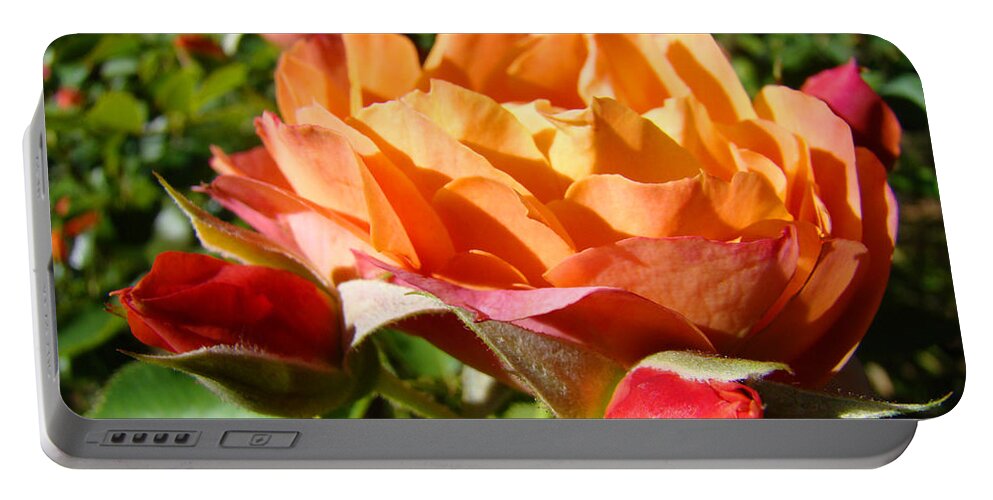 Rose Portable Battery Charger featuring the photograph Orange Rose Flower Garden art prints Floral by Patti Baslee