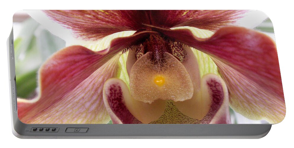 Macro Portable Battery Charger featuring the photograph Orchid Interior by Nancy Griswold