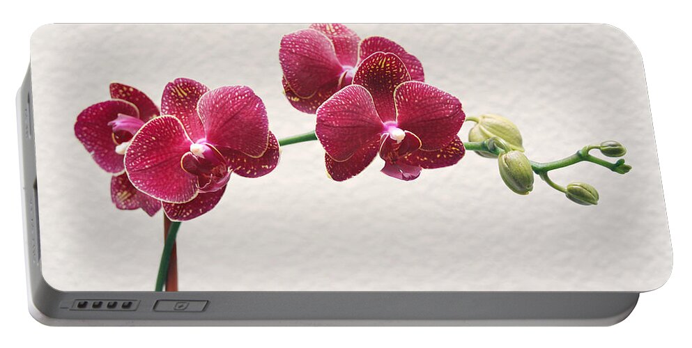 Flower Portable Battery Charger featuring the photograph Orchid by Masha Batkova
