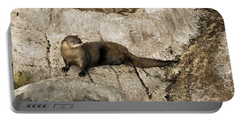Sea Portable Battery Charger featuring the photograph Otter by Marilyn Hunt