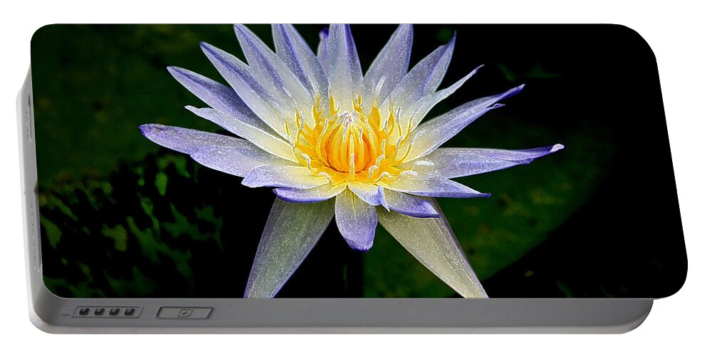 Flowers Portable Battery Charger featuring the photograph Painted Lily and Pads by Steve McKinzie