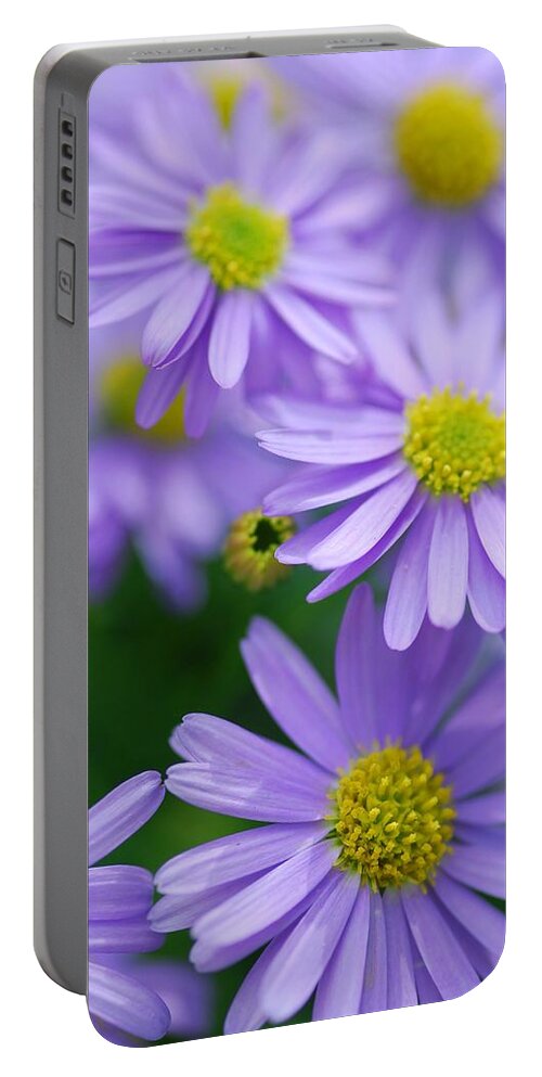 Optical Playground By Mp Ray Portable Battery Charger featuring the photograph Pastel purple Aster by Optical Playground By MP Ray