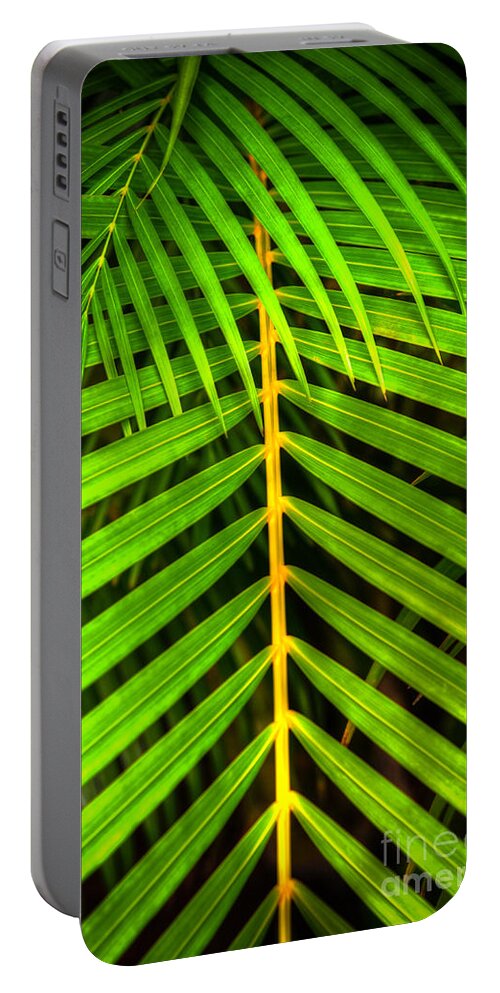Palm Frond Portable Battery Charger featuring the photograph Palm Frond by Kelly Wade