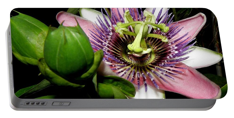 Passion Flower Portable Battery Charger featuring the photograph Passion at Night by Kim Galluzzo