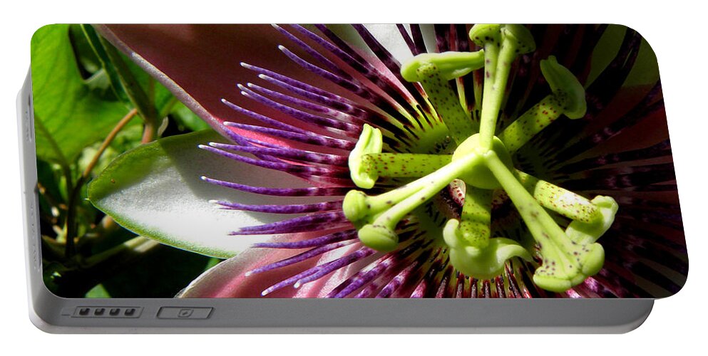 Passion Flower Portable Battery Charger featuring the photograph Passionate Peeks by Kim Galluzzo