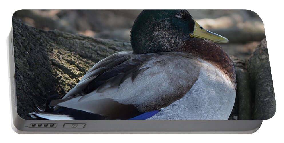 Duck Portable Battery Charger featuring the photograph Peaceful Duck by Maggy Marsh