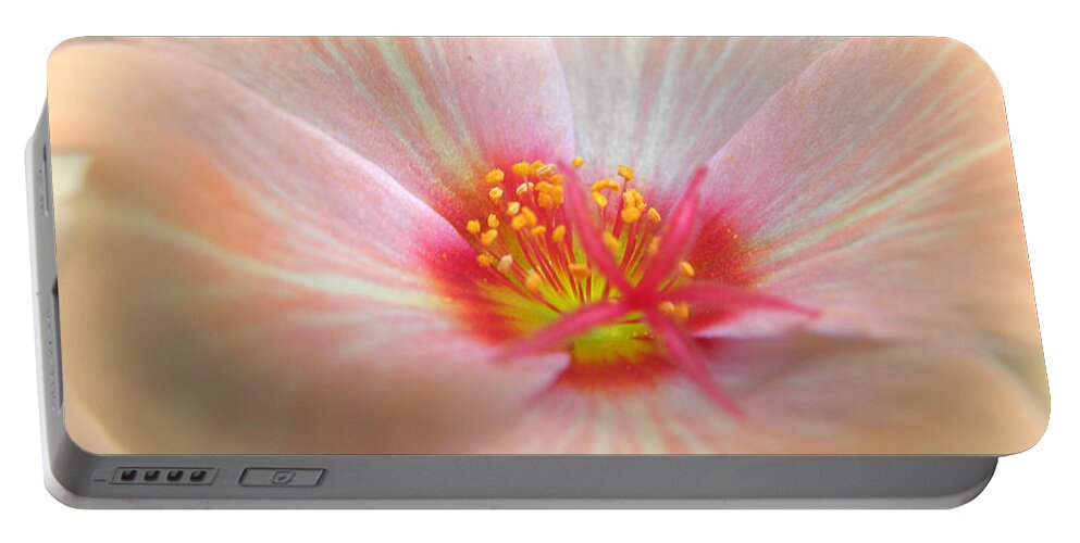 Peach Flower Portable Battery Charger featuring the photograph Peach Serene by Kim Galluzzo