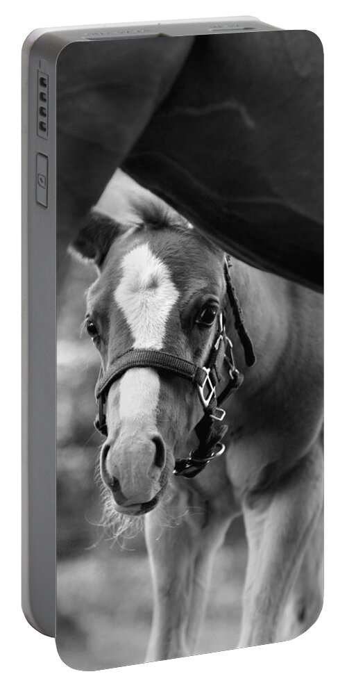 Horse Portable Battery Charger featuring the photograph Peek'a Boo - Black and White by Angela Rath