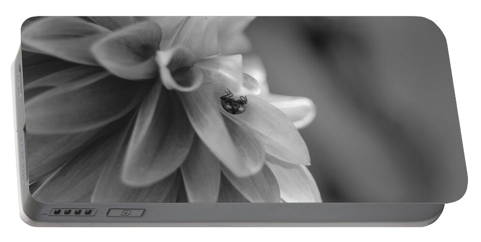 Flower Portable Battery Charger featuring the photograph Peeking Lady Bug 1 by Amy Fose