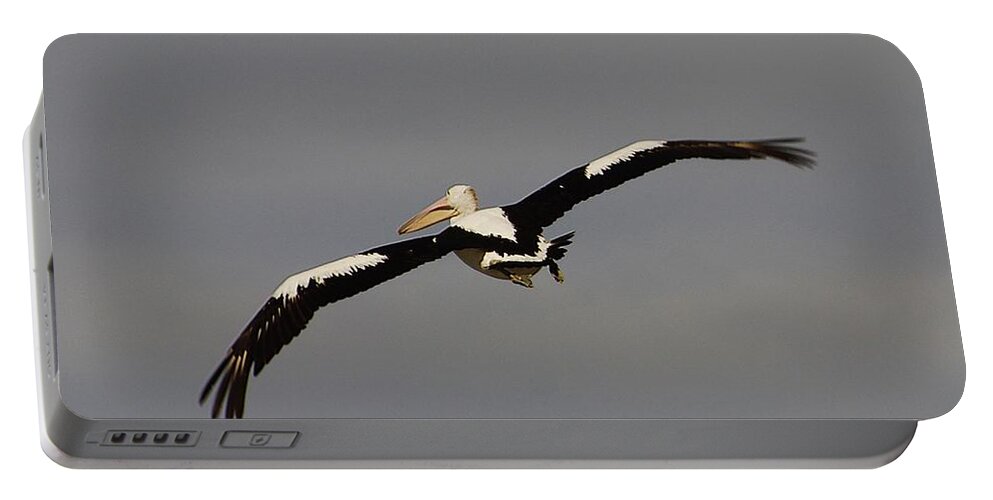 Australia Portable Battery Charger featuring the photograph Pelican in flight 2 by Blair Stuart
