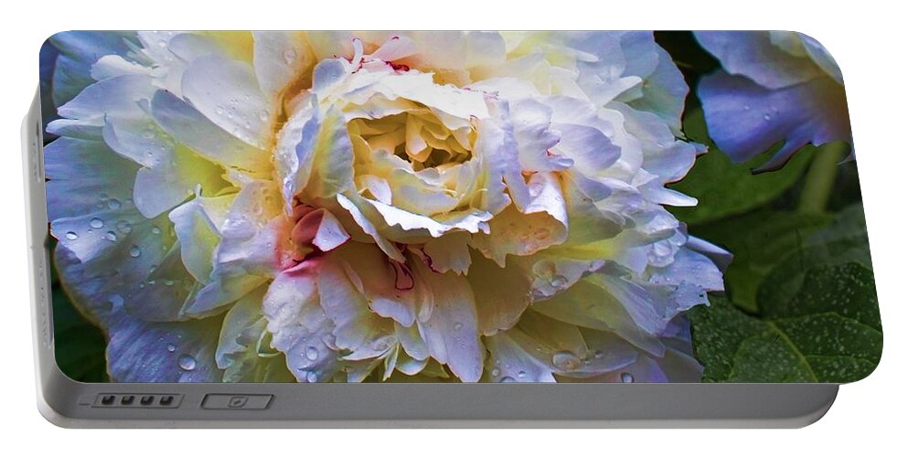 Flower Photographs Portable Battery Charger featuring the photograph Peony Beauty by Christiane Kingsley