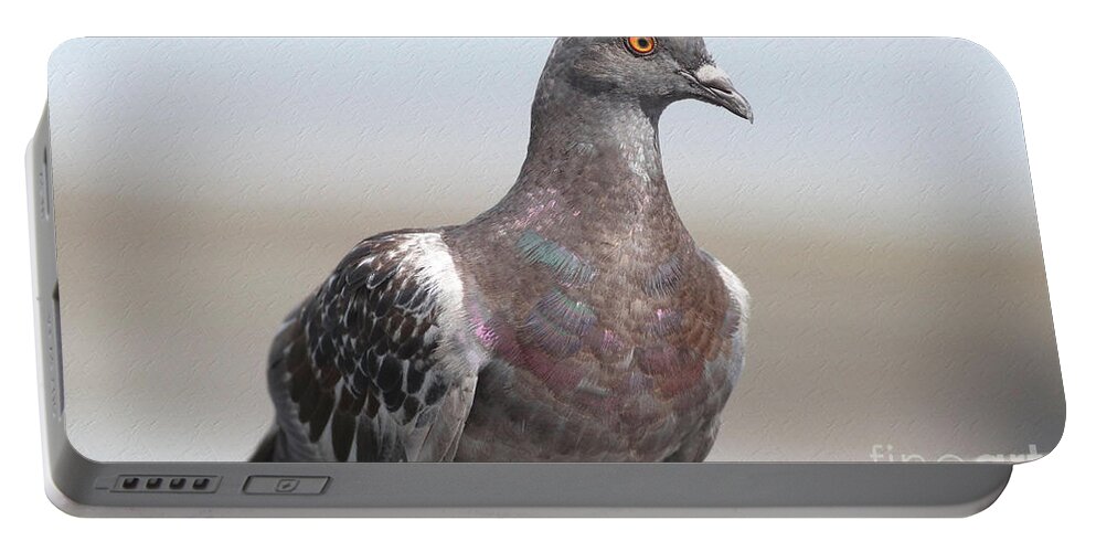 Pigeon Portable Battery Charger featuring the photograph Perched On The The Dock Of The Bay by Deborah Benoit