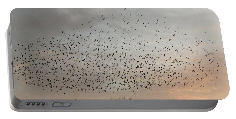 Black Birds Portable Battery Charger featuring the photograph Perfect Formation by Kim Galluzzo Wozniak