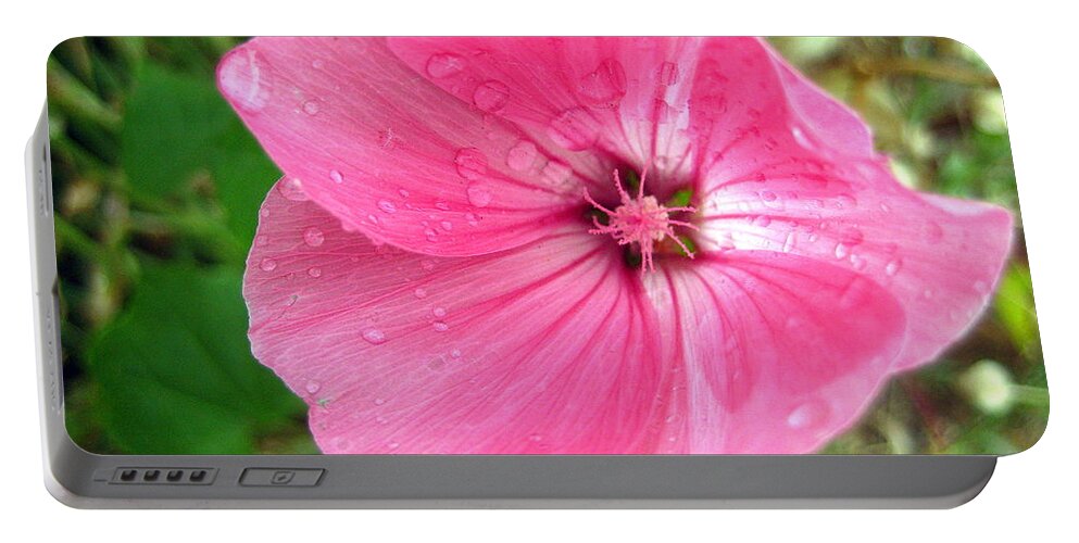 Flower Portable Battery Charger featuring the photograph Rain Floral by Kathy Bassett