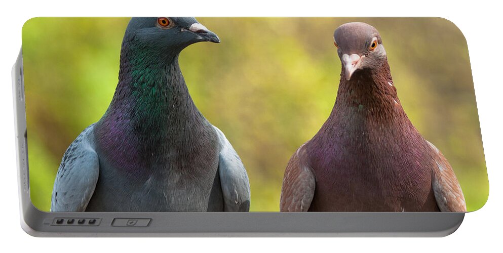  Portable Battery Charger featuring the photograph Pigeons by Andrew Michael