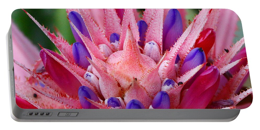 Pink Flower Portable Battery Charger featuring the photograph Pink Burst by Barbara Bowen