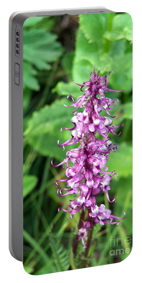 Wildflowers Portable Battery Charger featuring the photograph Pink Elephants by Dorrene BrownButterfield