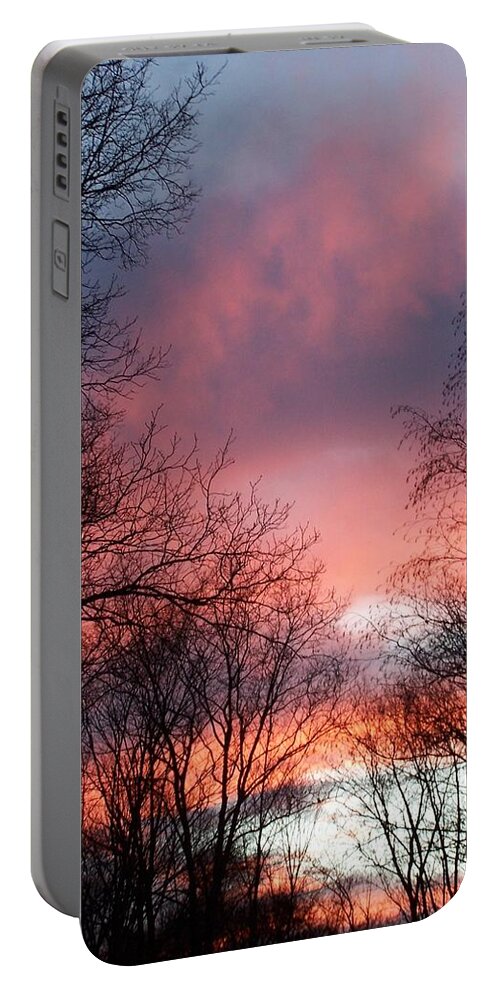 Pink Portable Battery Charger featuring the photograph Pink Forever by Kim Galluzzo Wozniak