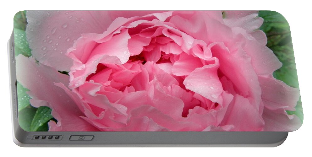 Pink Portable Battery Charger featuring the photograph Pink Peony Explosion by Kim Galluzzo