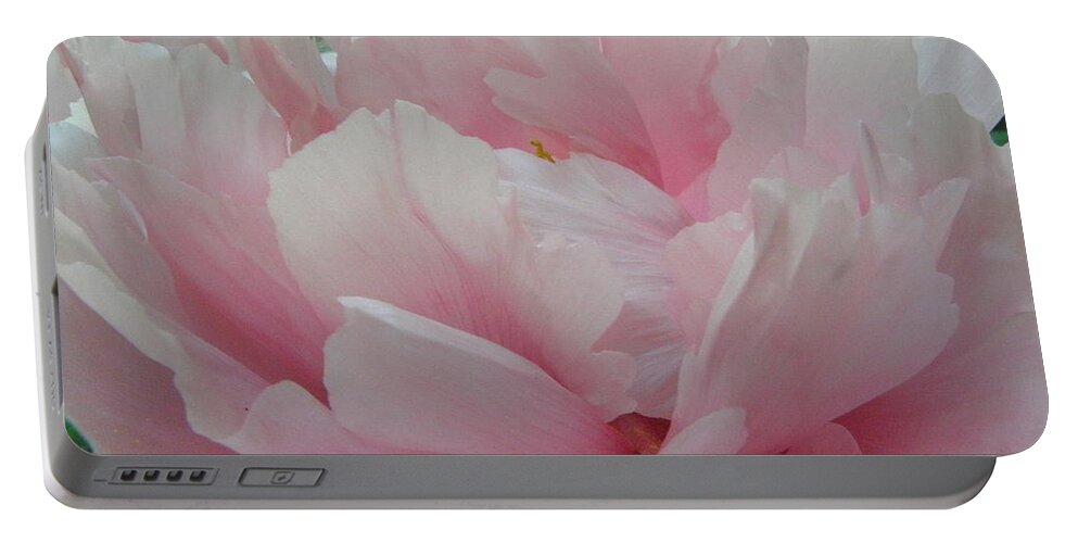 Pink Portable Battery Charger featuring the photograph Pink Peony by Kim Galluzzo