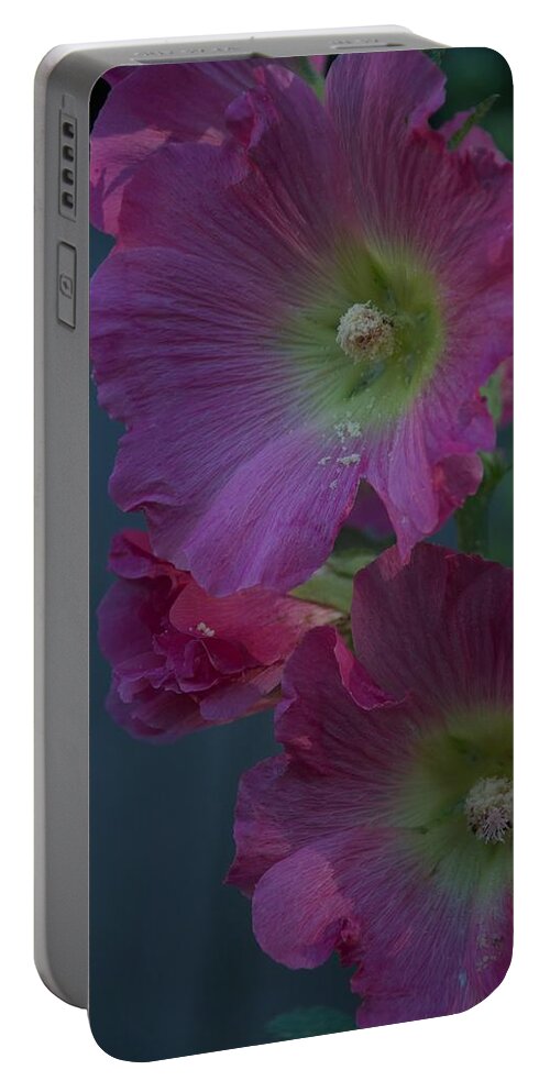 Flower Portable Battery Charger featuring the photograph Piquant by Joseph Yarbrough