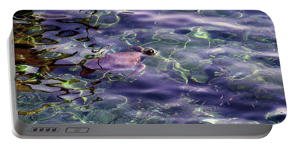 Sea Turtle Portable Battery Charger featuring the photograph playing at Crete by Casper Cammeraat