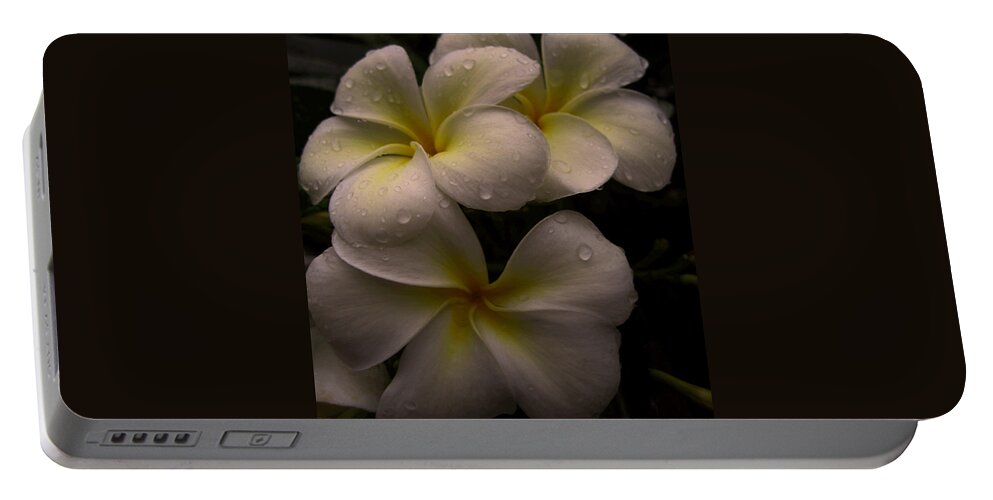 Plumeria Portable Battery Charger featuring the photograph Plumeria by Dorothy Cunningham