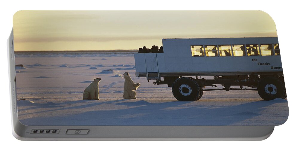 00125822 Portable Battery Charger featuring the photograph Polar Bear And Tundra Buggy Churchill by Flip Nicklin