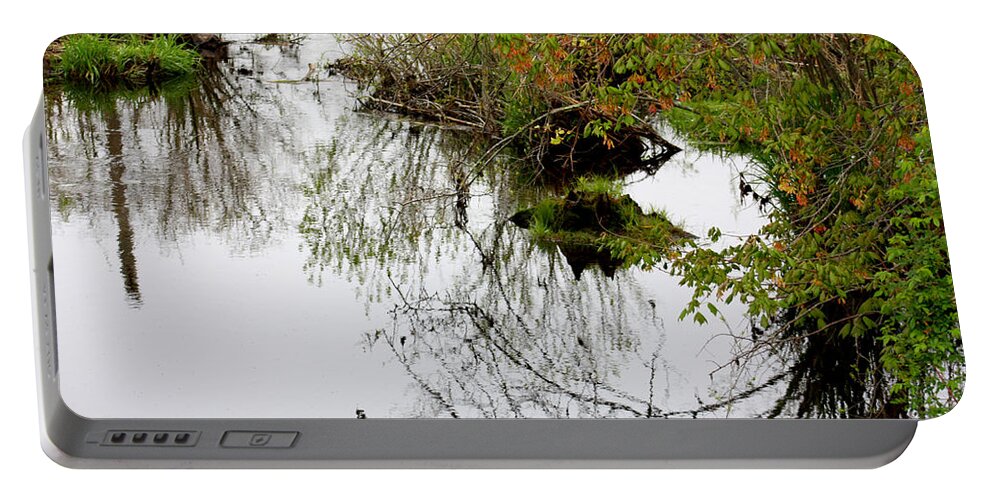 Color Photography Portable Battery Charger featuring the photograph Pondscape by Kim Galluzzo Wozniak