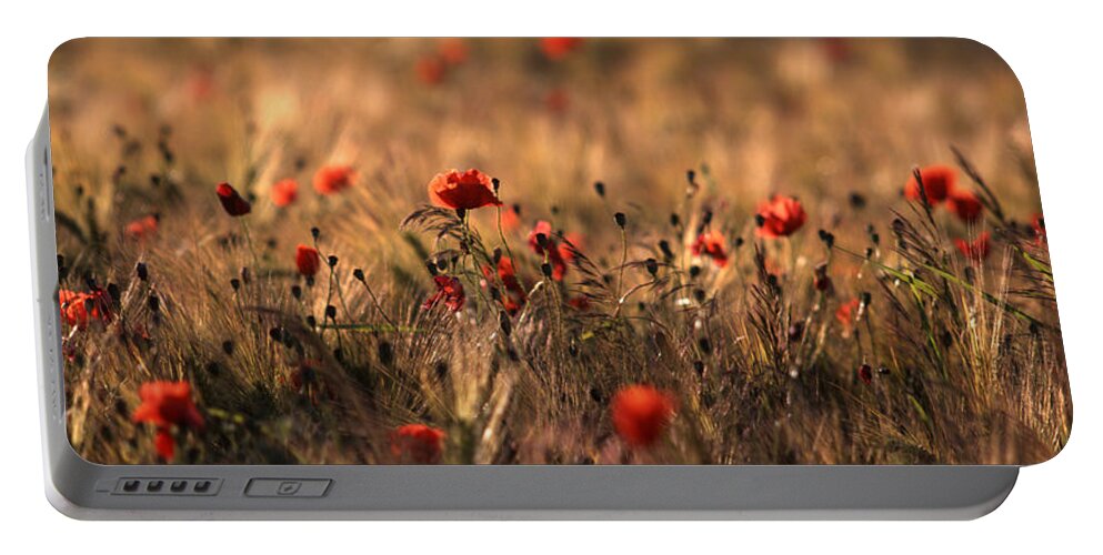 Poppies Portable Battery Charger featuring the photograph Poppies in a field by Ulrich Kunst And Bettina Scheidulin