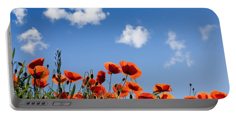 Poppy Portable Battery Charger featuring the photograph Poppy Flowers 05 by Nailia Schwarz